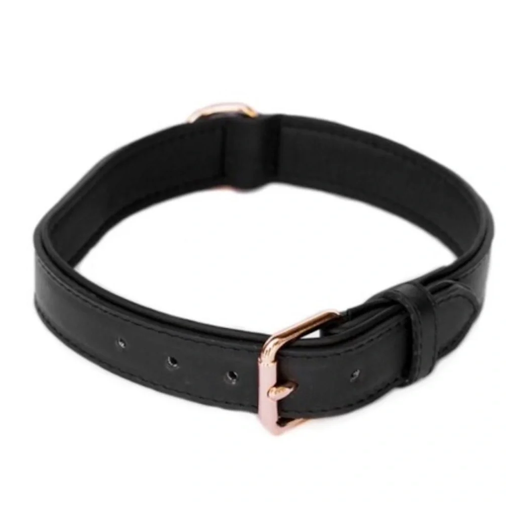 ZippyPaws Legacy Collection Dog Collar Black Leather